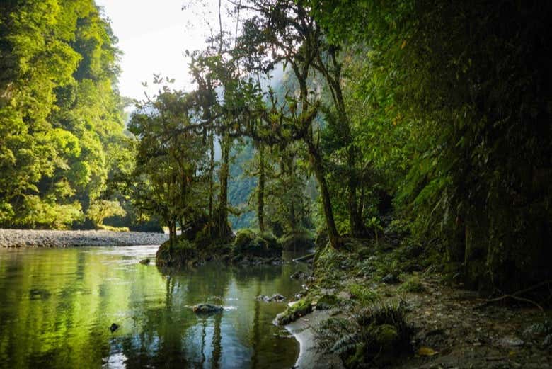 The perfect spot for hiking