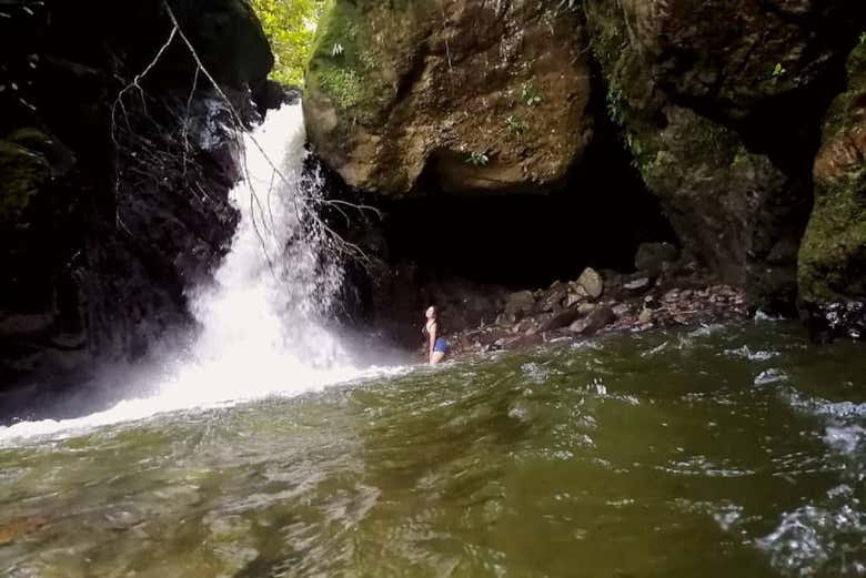 Swimming in its natural pools