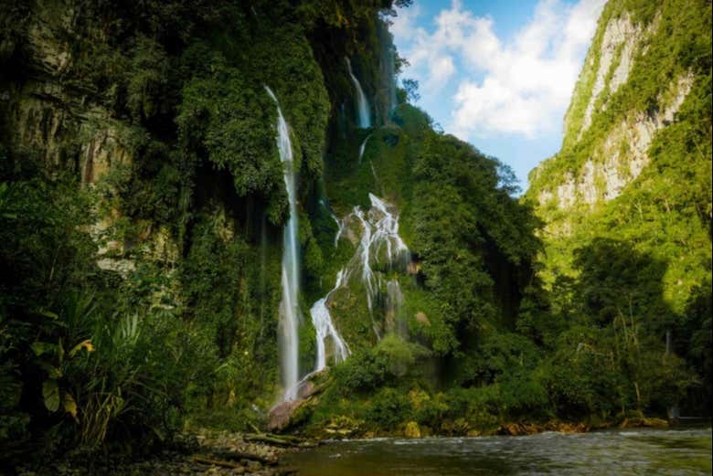 Don't forget your camera1