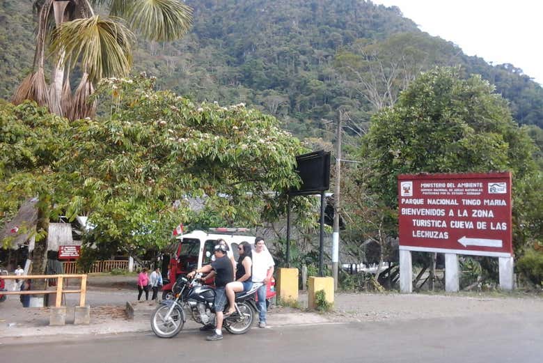 Tingo María National Park