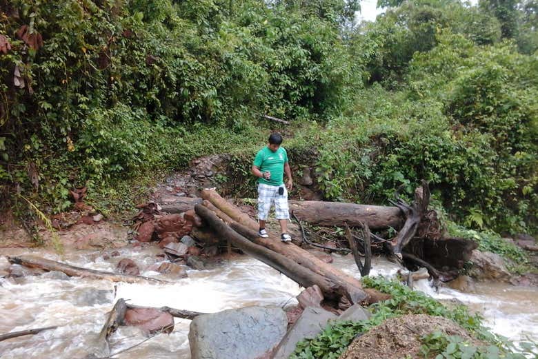 Ruta por la selva