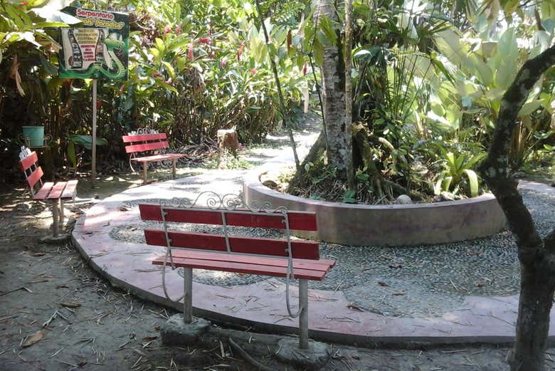 Serpentario del zoo de Tingo María