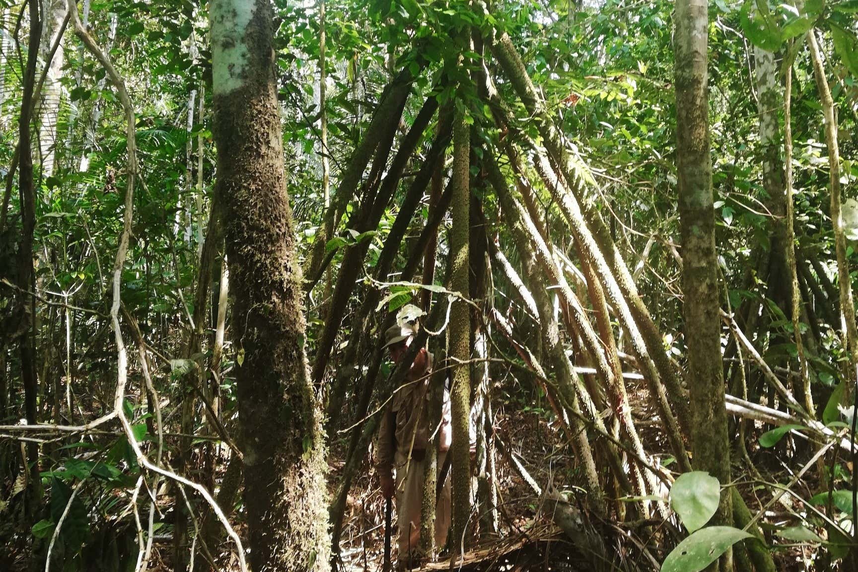Trilha e meditação na Laguna de los Milagros
