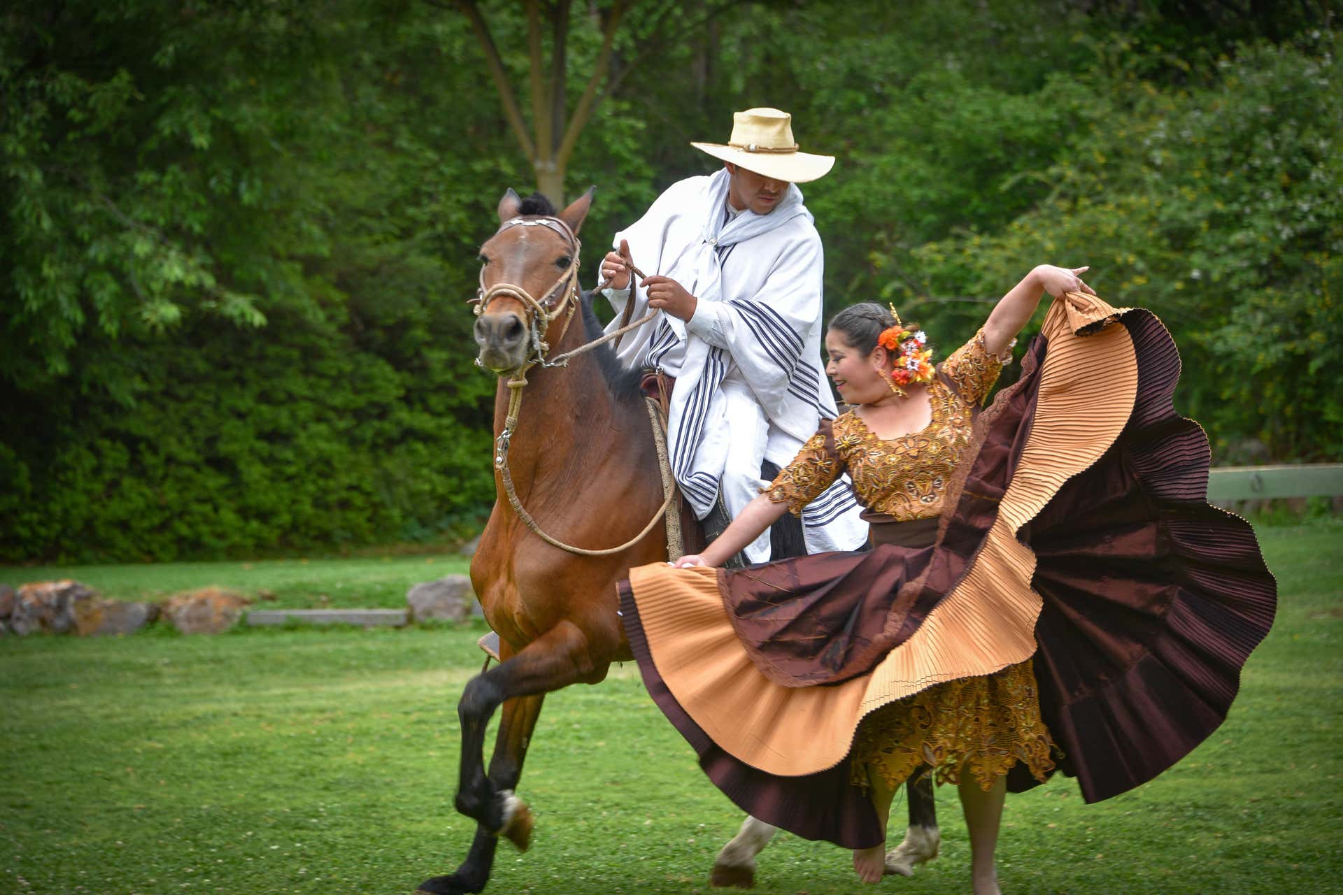Marinera Show with Peruvian Paso Horses from Trujillo