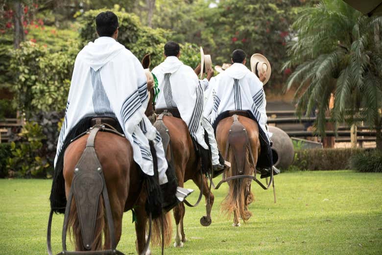 Espetáculo de cavalos