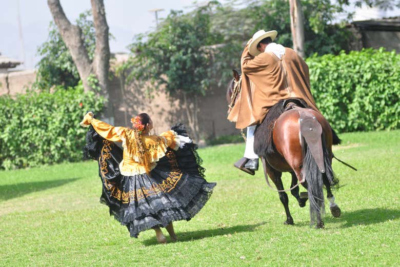 Espetáculo equestre e de dança
