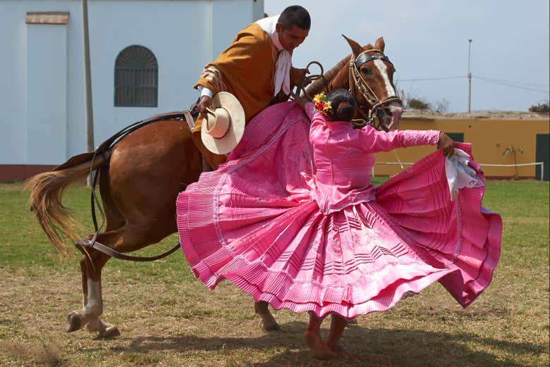 Espetáculo de marinera com cavalos em Trujillo