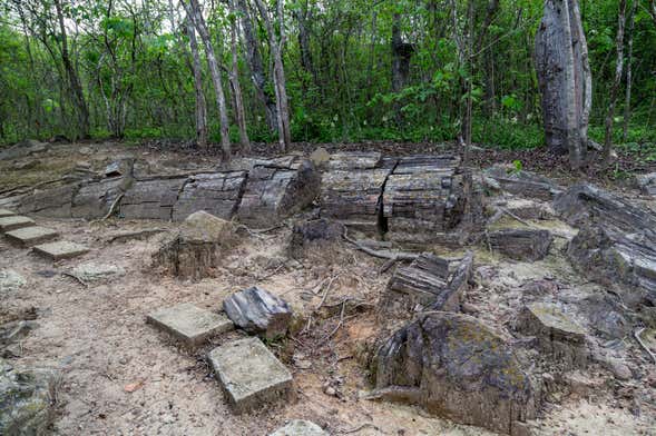 Excursão privada ao bosque petrificado de Puyango