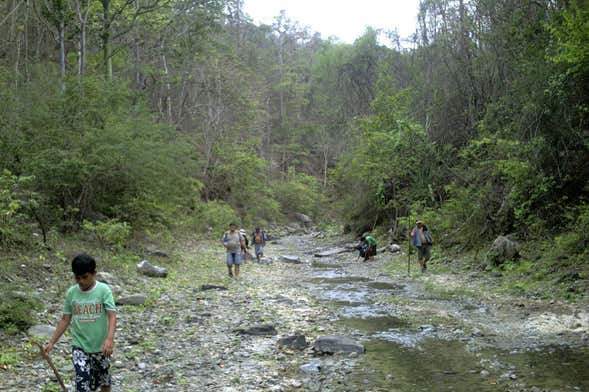 Excursión privada al Parque Nacional Cerros de Amotape