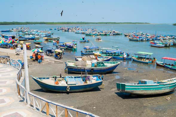 Excursión privada a Puerto Pizarro