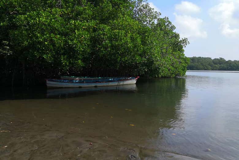 Barca en los manglares de Tumbes