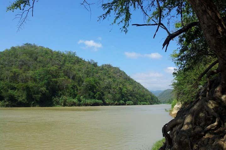 Bosque seco de Rica Playa
