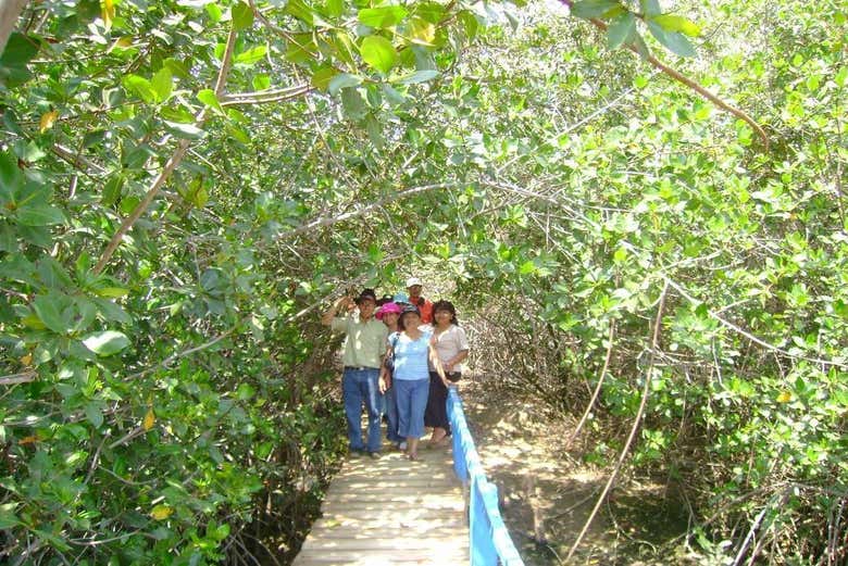 Visitando la Casa del Manglar
