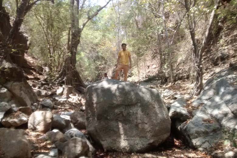 Diversión en el bosque seco