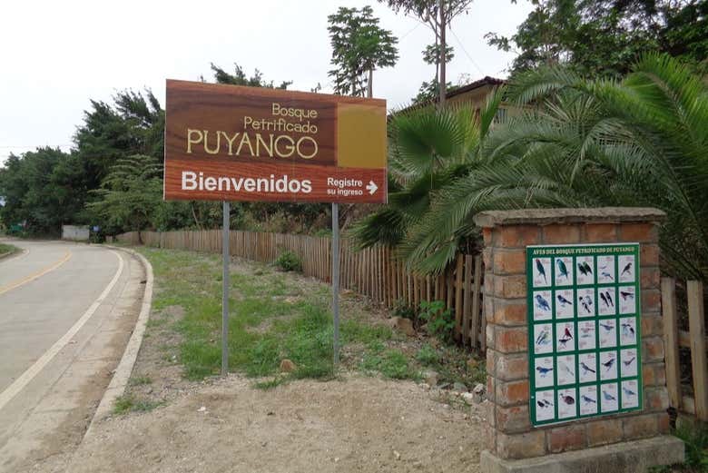 Entrada do bosque petrificado de Puyango