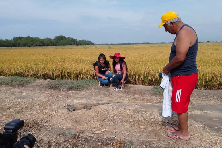 Observando la fauna del estero La Chepa