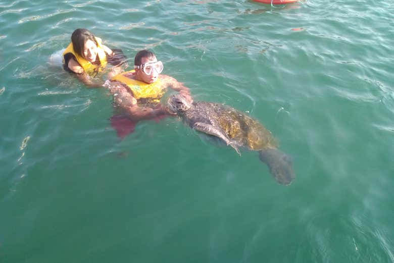 Nadando con las tortugas marinas