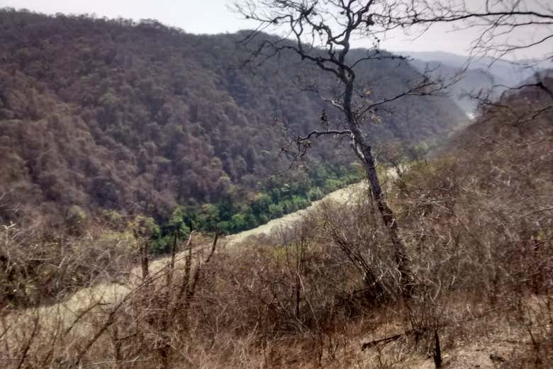 Paisajes del bosque seco de Rica Playa