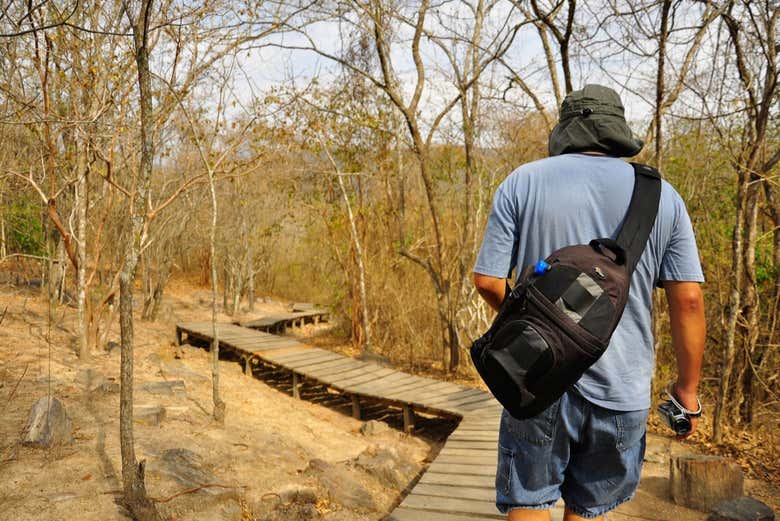 Paseando por Puyango