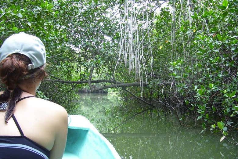 Paseando en barco por los manglares de Tumbes