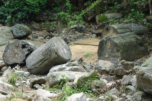 Bosque de piedras