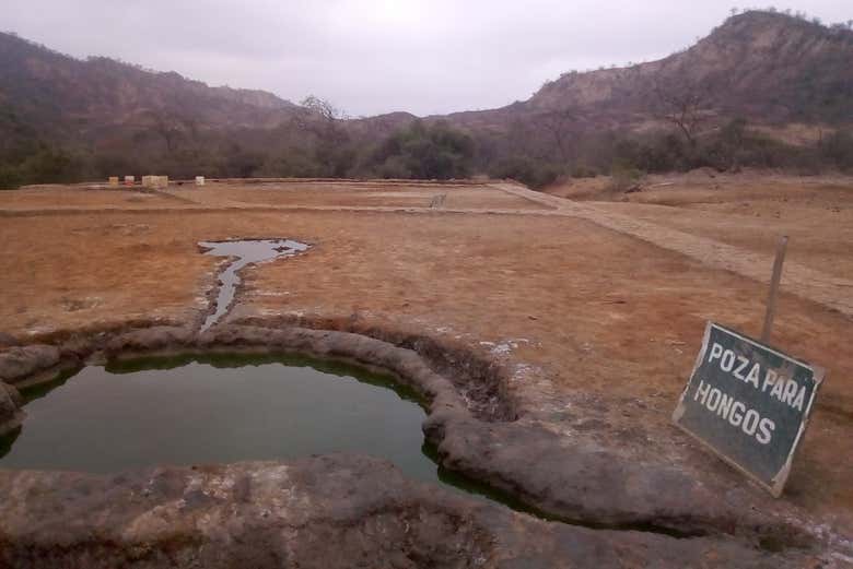 Cada poza trata una dolencia diferente