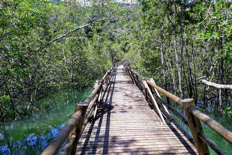 Ponte de madeira em Tumbes
