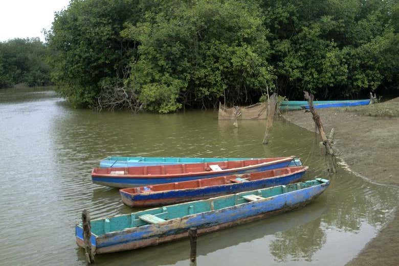 Barcas de pescadores en Puerto La Ramada