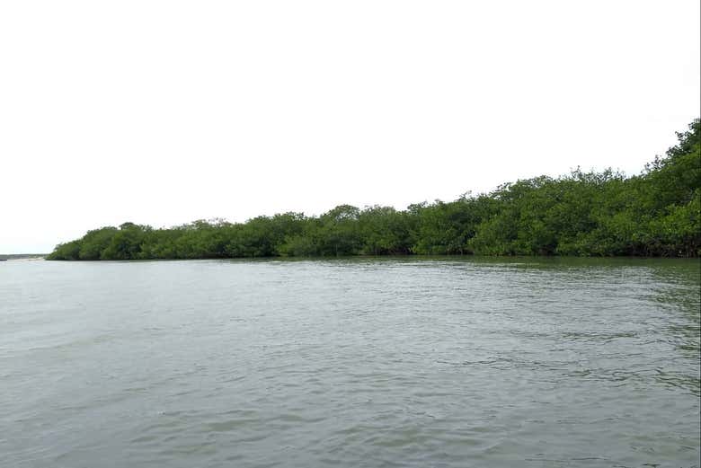 Desembocadura del río Tumbes