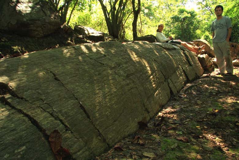 Tronco petrificado en Puyango