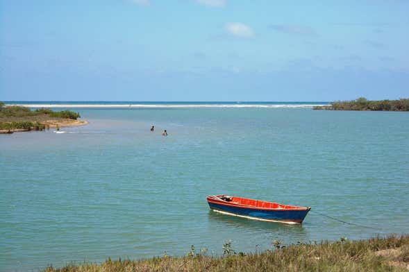 Tour privado de bicicleta pelo delta do rio Tumbes