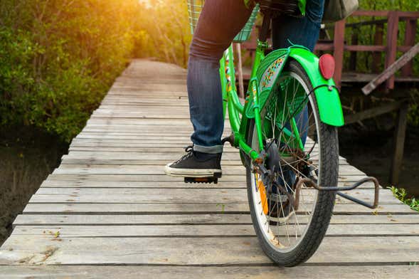 Tour en bicicleta por Puerto La Ramada