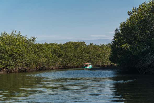 Tour privado por los manglares de Tumbes