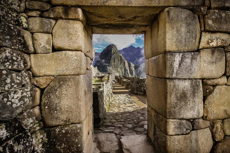 Excursión a Machu Picchu