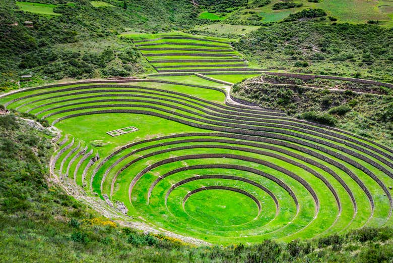 Moray
