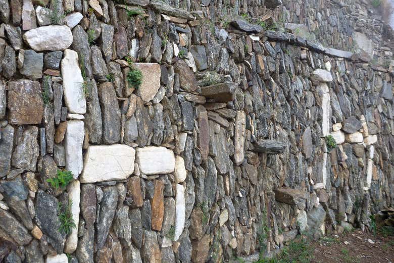 Explore the ruins scattered throughout the area