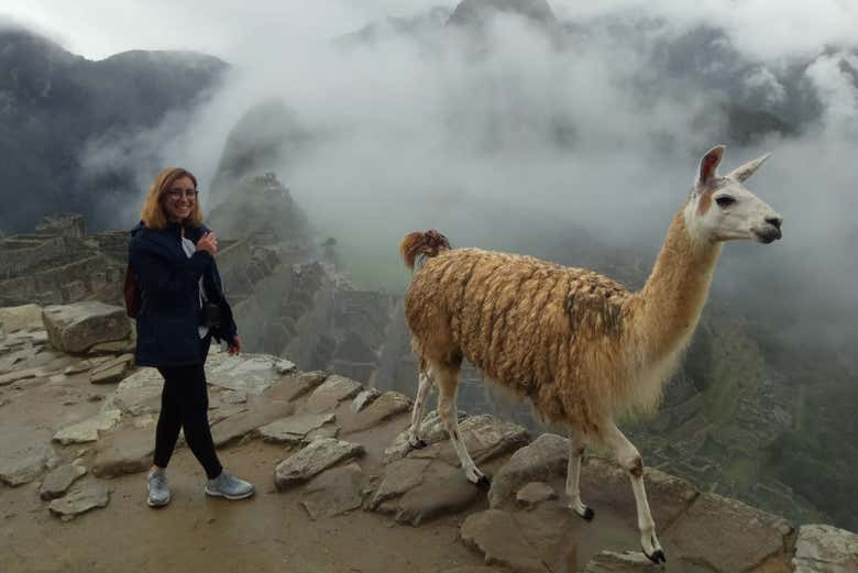 Una turista con una llama en Machu Picchu