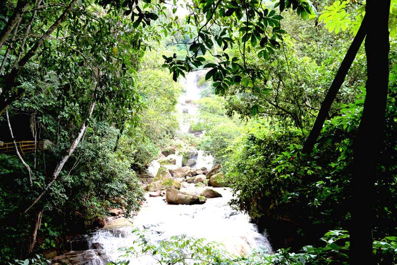 Waterfalls in the Perené River