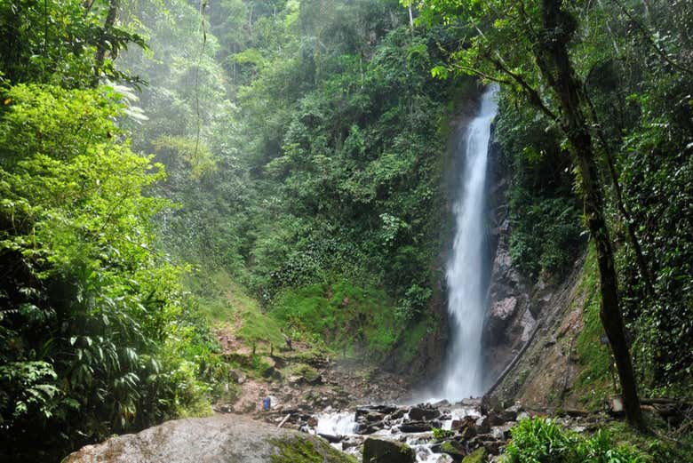 Paisajes en Chanchamayo