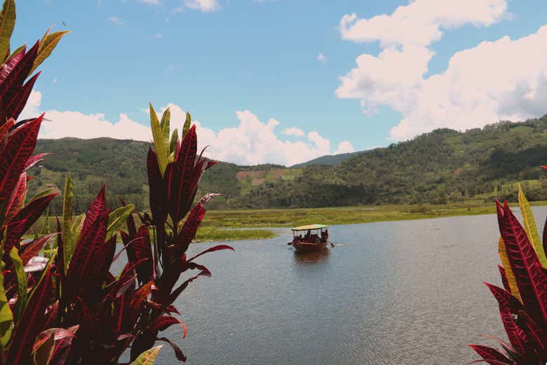Boat trip on the Perené River