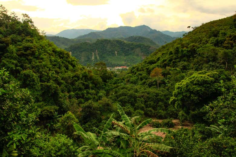 Paisajes de la selva central peruana
