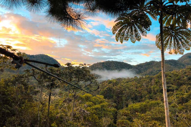 Enchanted forest of Oxapampa