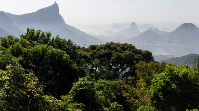 Parque Nacional de Tijuca