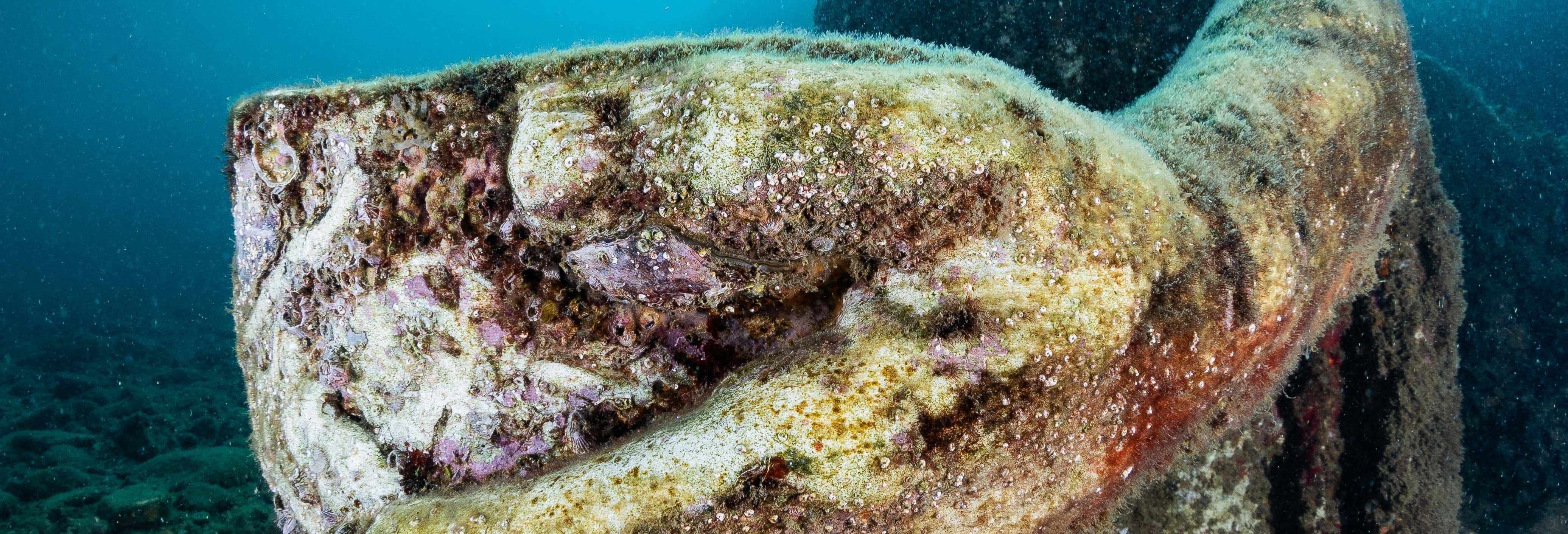 Parque Arqueológico Sumergido de Baia