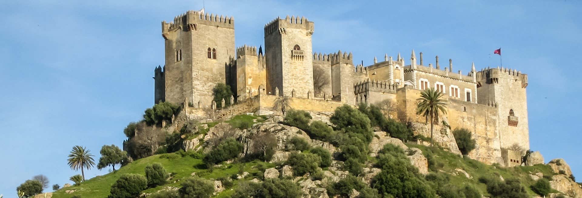 Almodóvar del Río Castle