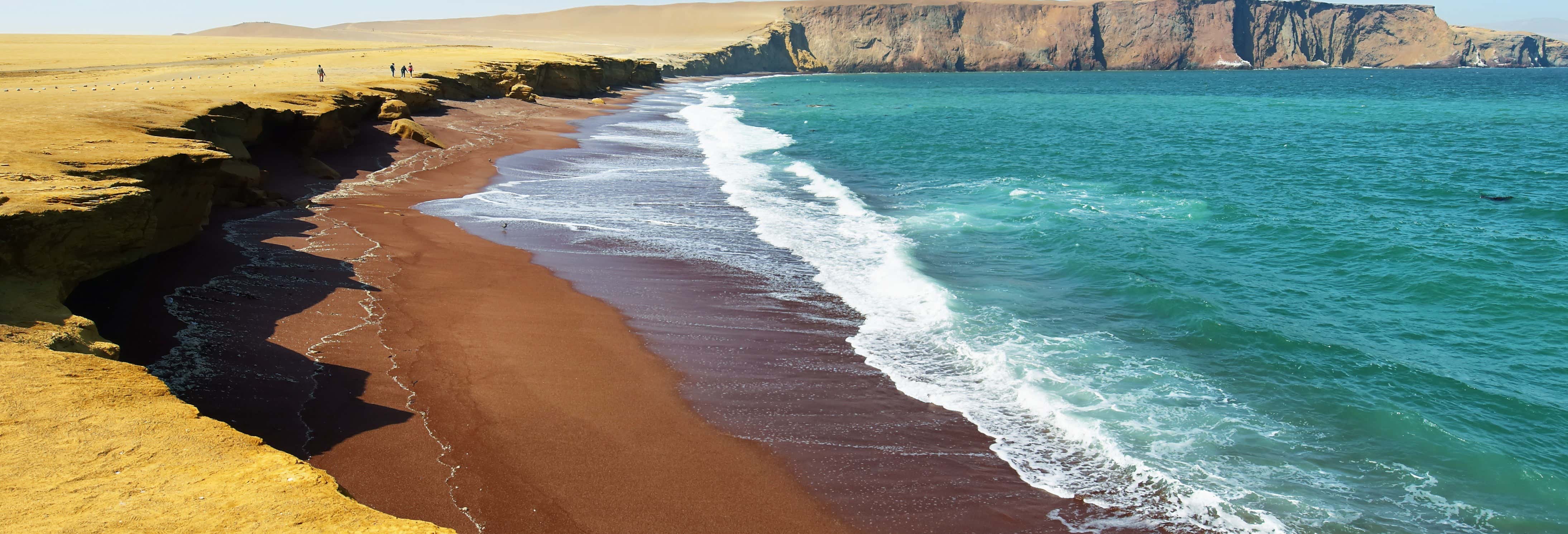 Reserva Nacional de Paracas