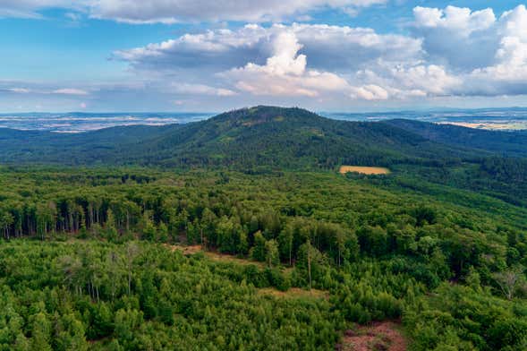 Tour por el Monte Ślęża, Krzyżowa y Świdnica
