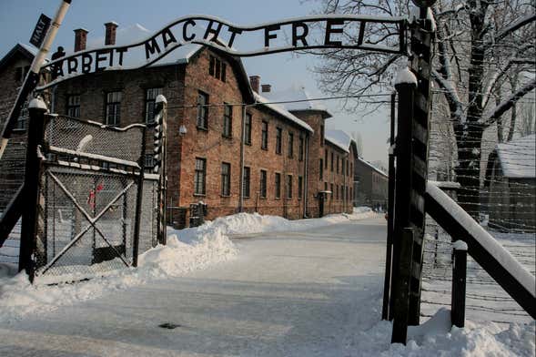 Krakow Combo: Auschwitz and Salt Mine Tour