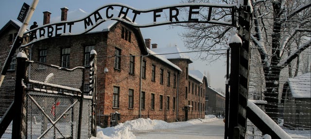 Krakow Combo: Auschwitz and Salt Mine Tour