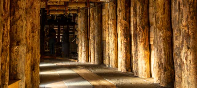 Excursão às Minas de Sal de Wieliczka